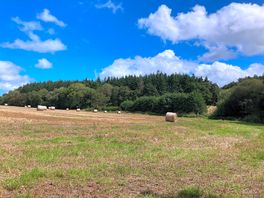 Heaven on earth!