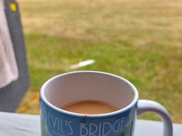What a view with a cup of tea in the morning.