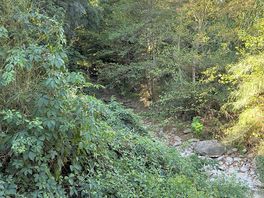 Bosque con río de rocas delante de la parcela
