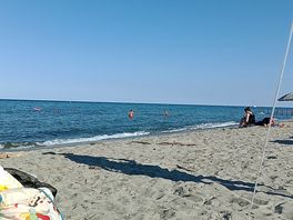 Mare