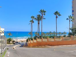 Mare el campello