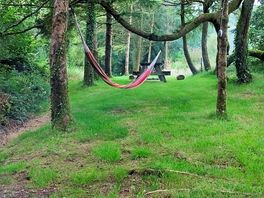 Hammocks