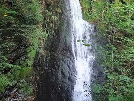 Local area