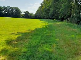 Nearby walk