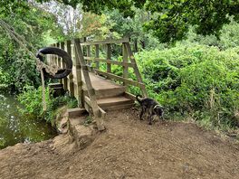 Hidden bridges, lots rope swings into the lake, great for a swim.
