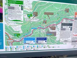 Loads of trails