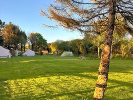 Campsite - spacious