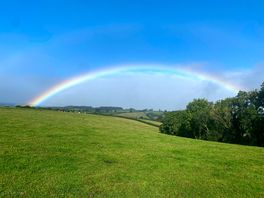 Rainbow over the farm.