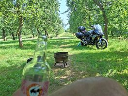Afternoon view