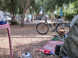 Plenty of cycles on the site