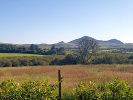 From the edge of the field