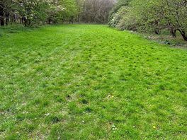 Great walks