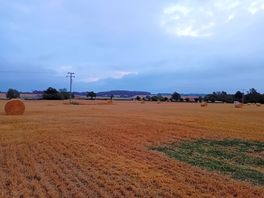 Lovely walks