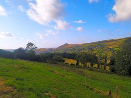 View from the tent