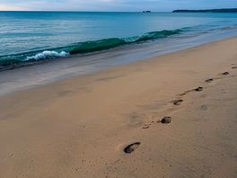 Beach and ocean