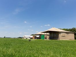 Safari tents