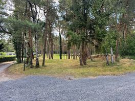 Wooded location
