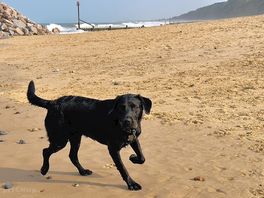 Mundesley beach