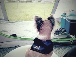 Just chilling