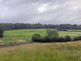 Horse fields viewed from the tent