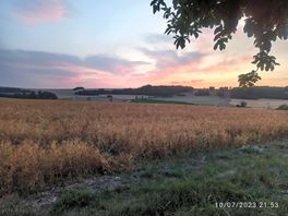 Evening sunset