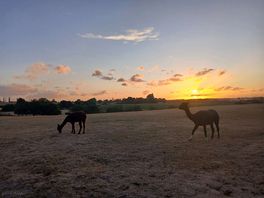 Sunset from the top of the site