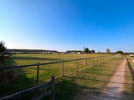Grassfläche