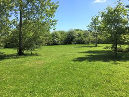 End Meadow pitches