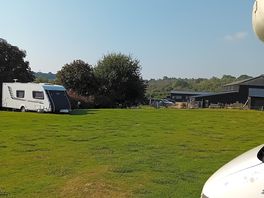 Large ehu field.
