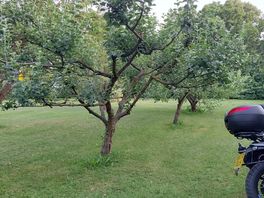 Lovely orchard setting