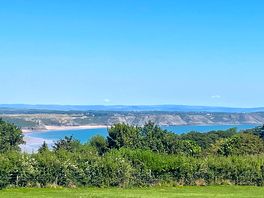 Lush view!