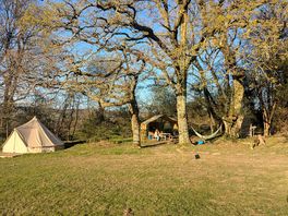 The whole area you get. tent, kitchen and to the right your bathroom