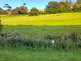 View from back of allocated pitches. camper van field