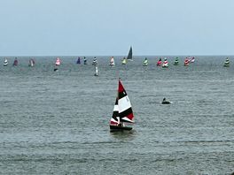 View of the regatta from readymoney cove