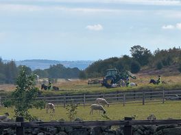 Close to middleham racecourse