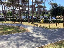Around the site