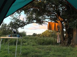 View from tent