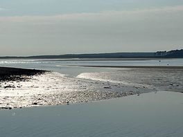 Enjoying a pint and the view from the anglesey arms