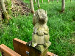 Forrest creatures
