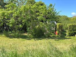 The showers, loos and washing up area wonderfully absorbed by the greenery