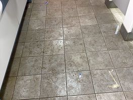 Dirty ladies toilets