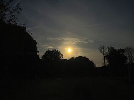 Full moon