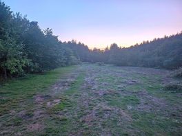 Evening walk around the campsite.