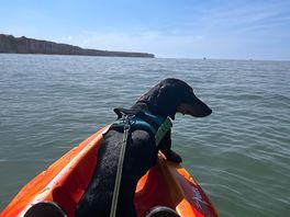 Kayak