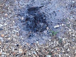 Fire pit contents dumped on hard hard-standing pitch.