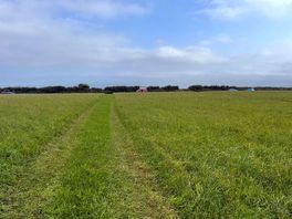 Lots of space to spread out