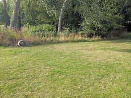 Clean and tidy site