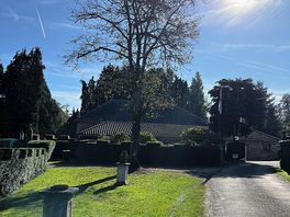 Driveway to site