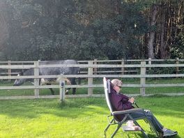 Nosey cows 2024