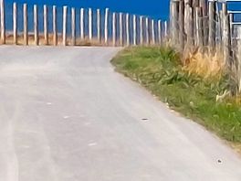 Road leading from the camp